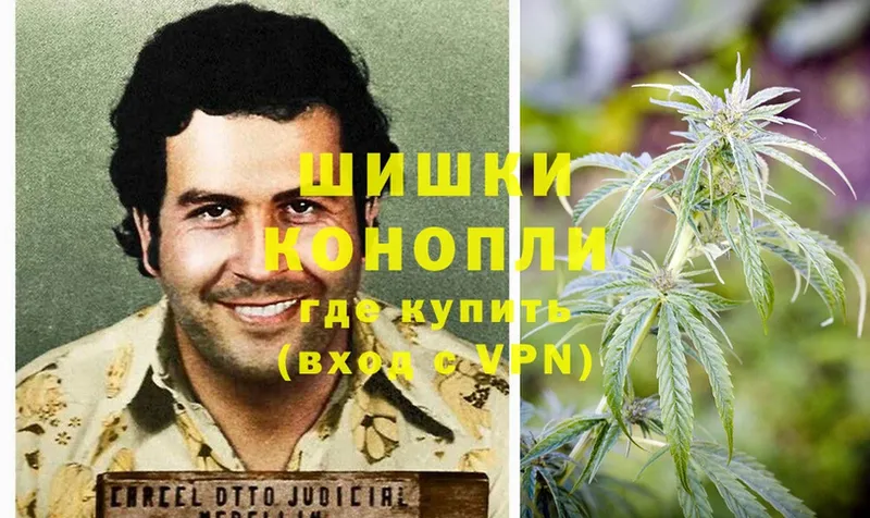 как найти закладки  Евпатория  Каннабис Bruce Banner 